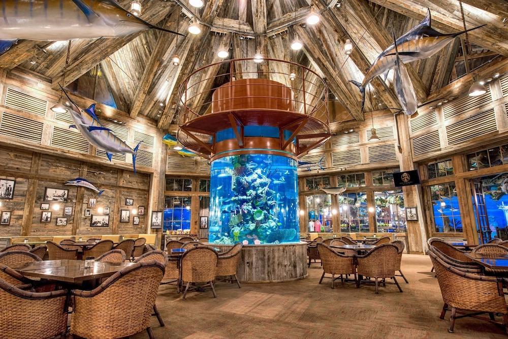 Big Cypress Lodge MemphisMemphis  Kültér fotó